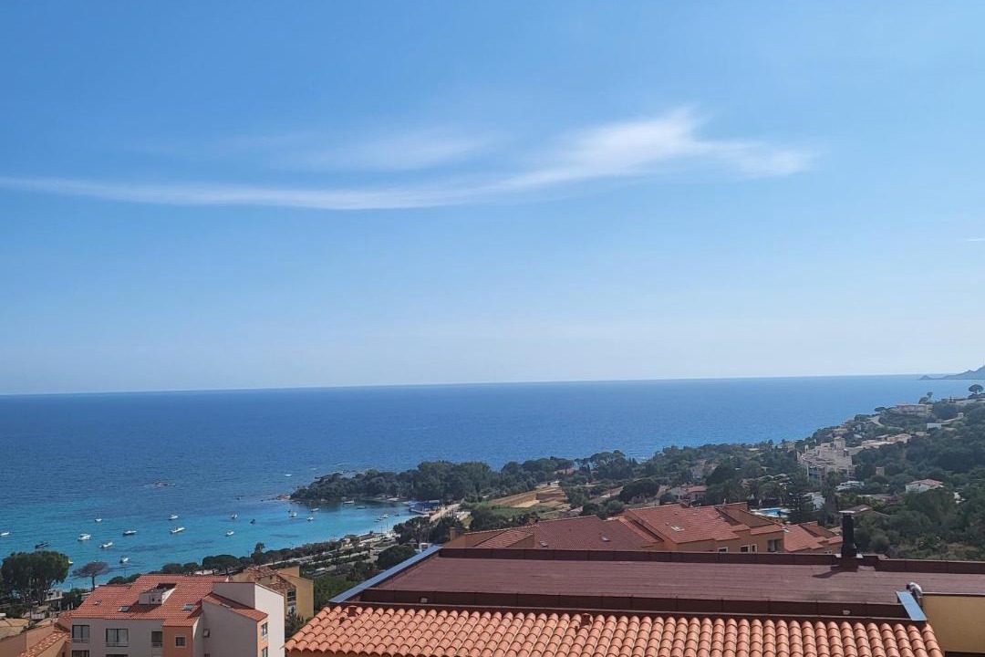Photo of Others in Ajaccio