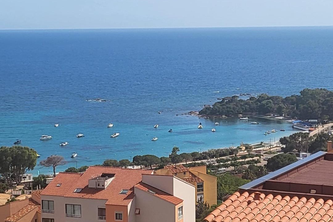 Photo of Others in Ajaccio