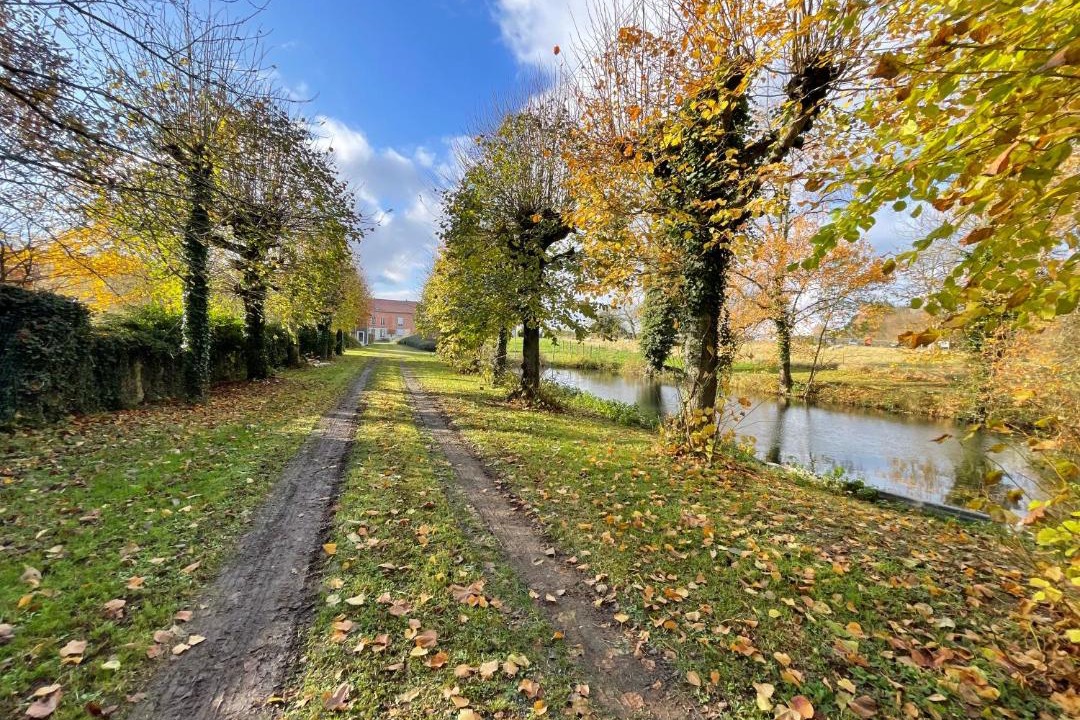 Photo of Others in Chuffilly-Roche