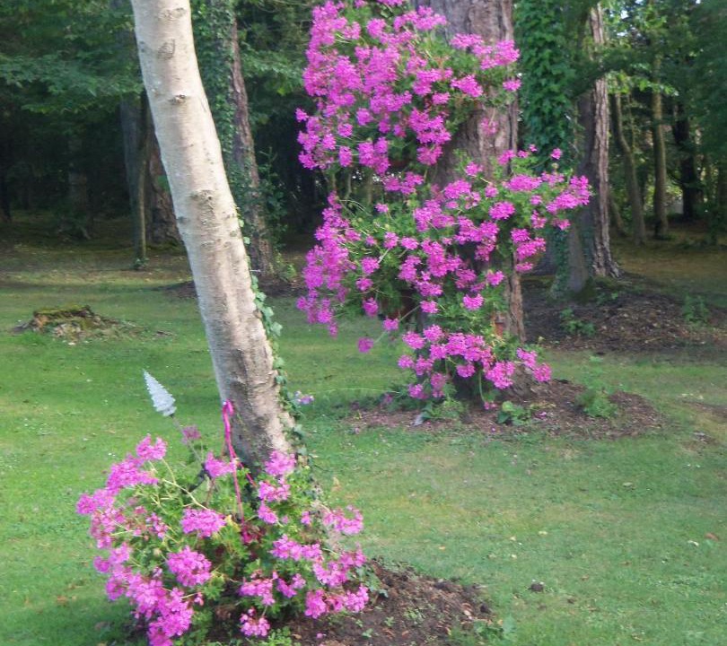 Photo of Outdoor in Wimille