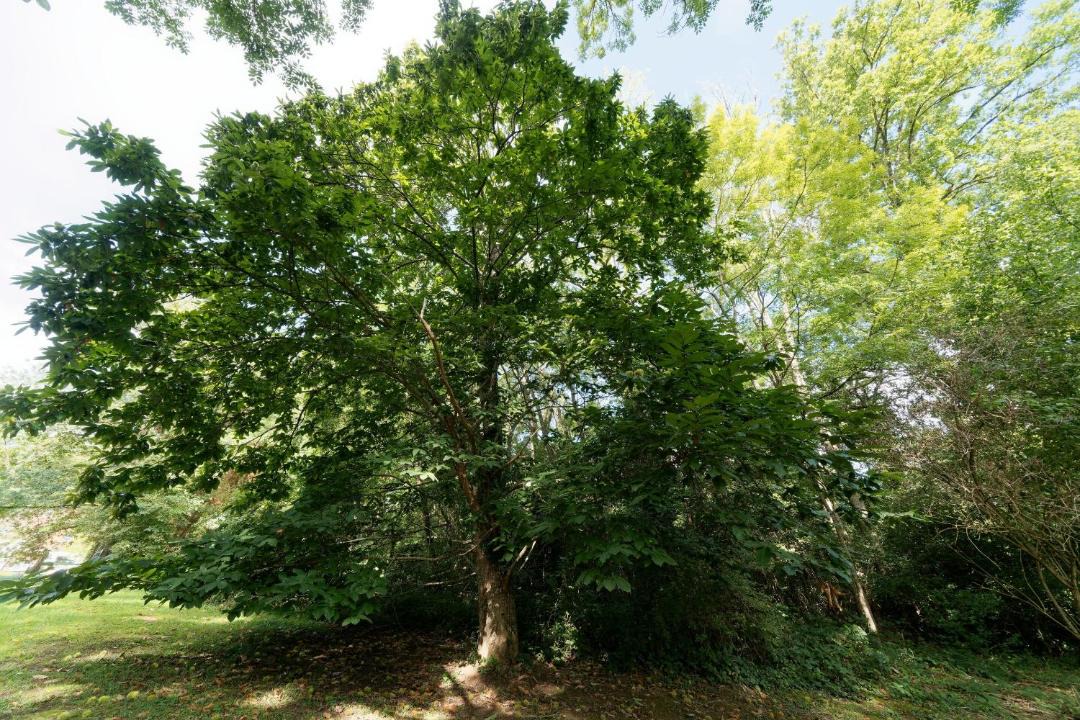 Photo of Outdoor in Saint-Augustin