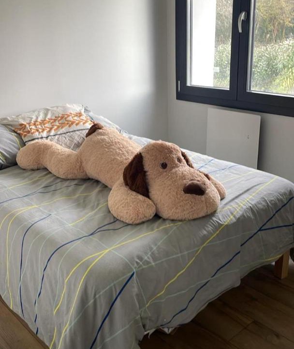 Photo of Bedroom in Tordouet