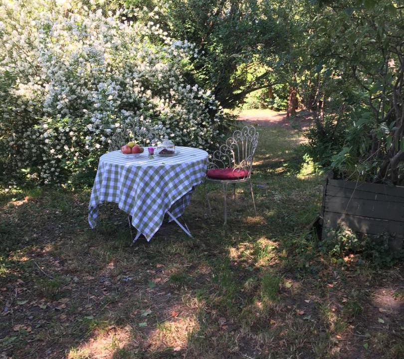 Photo of Others in Bethemont-la-Foret