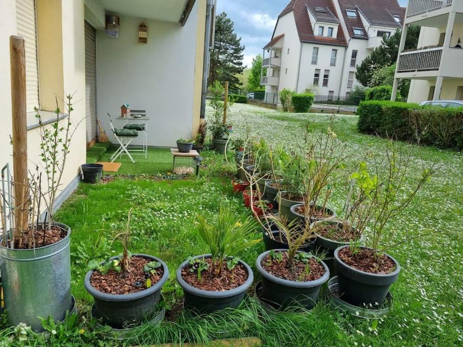 Photo of Others in Cronenbourg Est