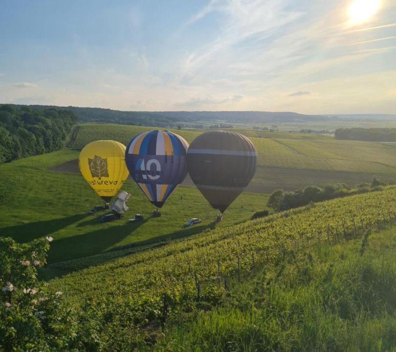 Photo of Others in Mailly-Champagne