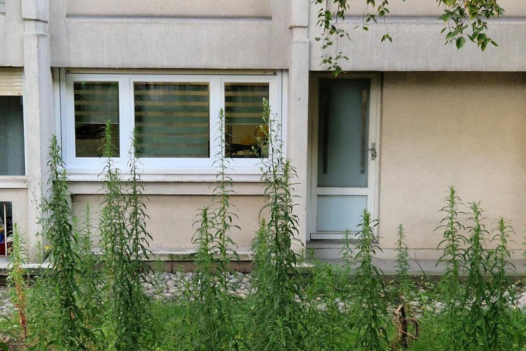 Photo of Others in Levallois-Perret