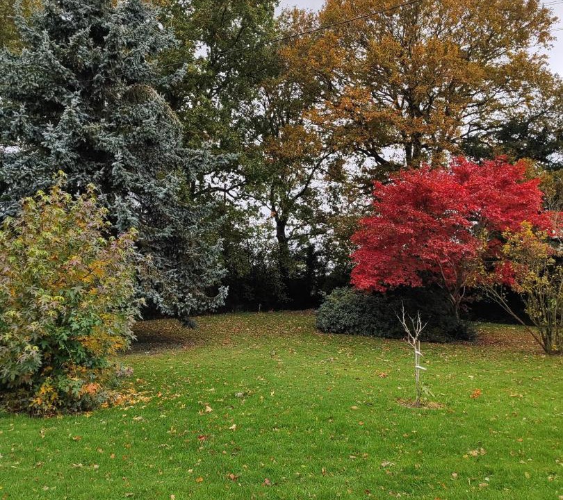 Photo of Outdoor in Saint-Martin-Saint-Firmin