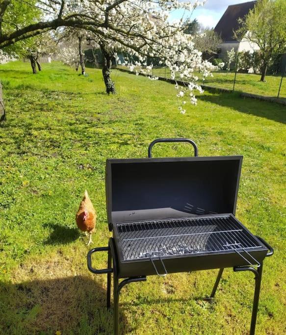 Photo of Outdoor in Pierrelaye