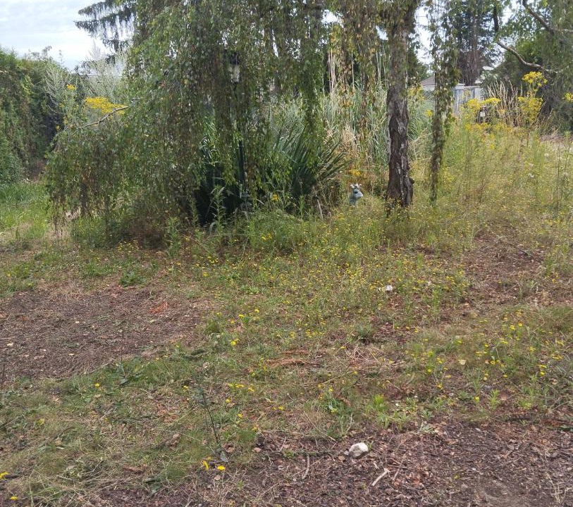 Photo of Outdoor in Pierrelaye