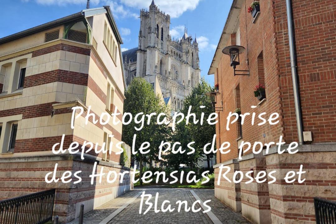 Photo of Others in Saint-Leu