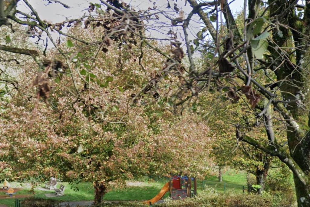 Photo of Outdoor in Dammartin-en-Goele