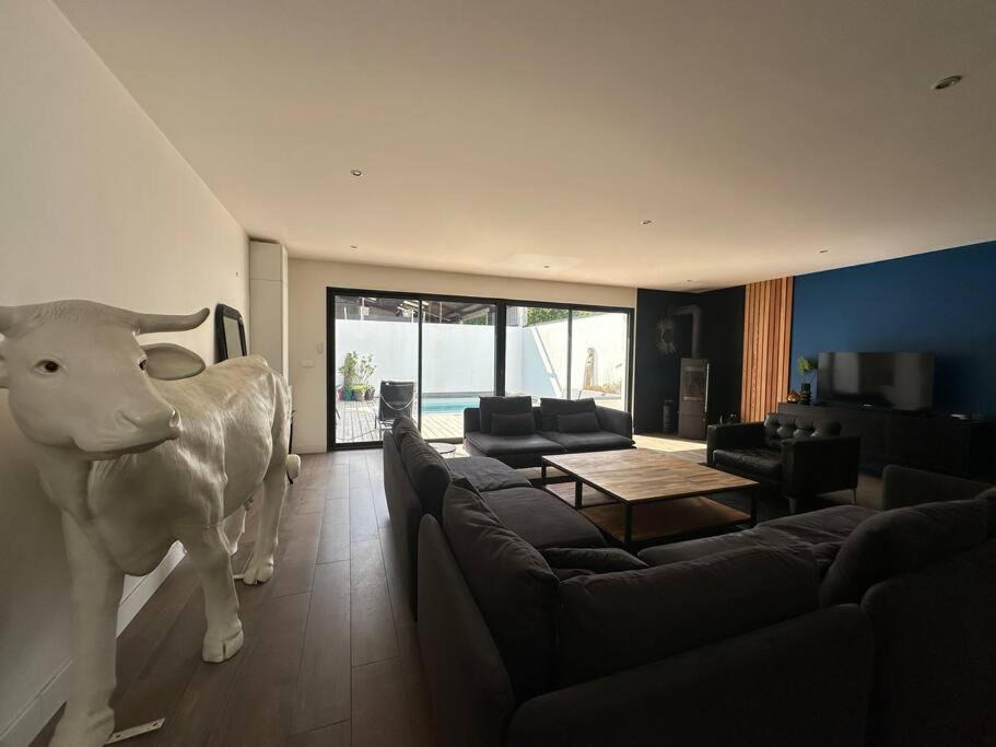 Photo of Livingroom in Courlancy