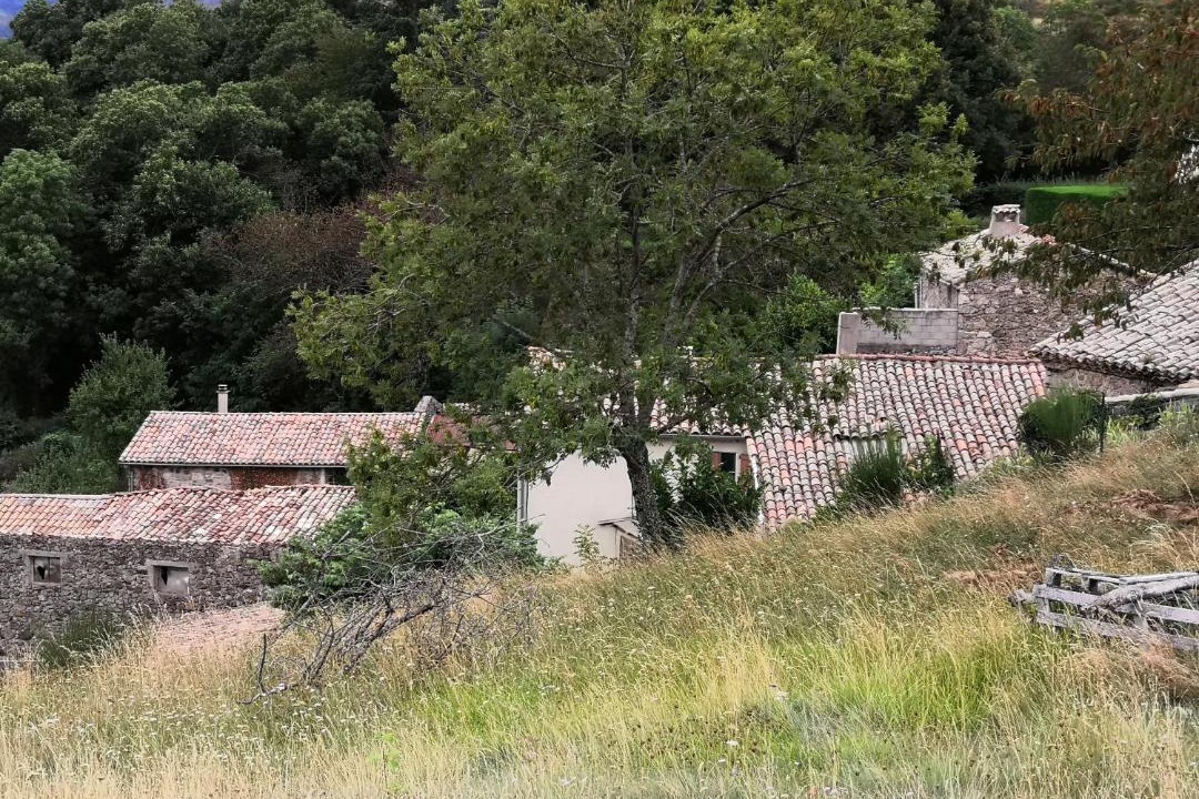 Photo of Others in Ajoux