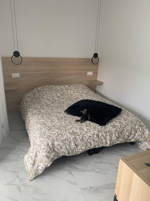 Photo of Bedroom in Arras