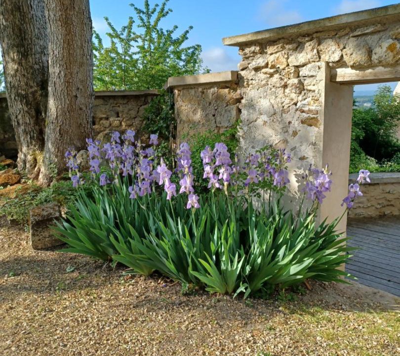 Photo of Outdoor in Vaux-sur-Seine