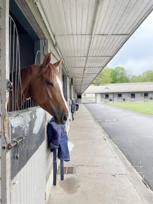 Photo of Others in Chantilly