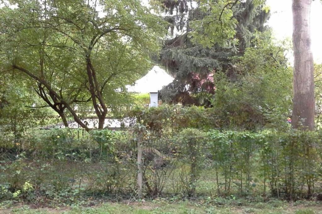 Photo of Others in Chalifert