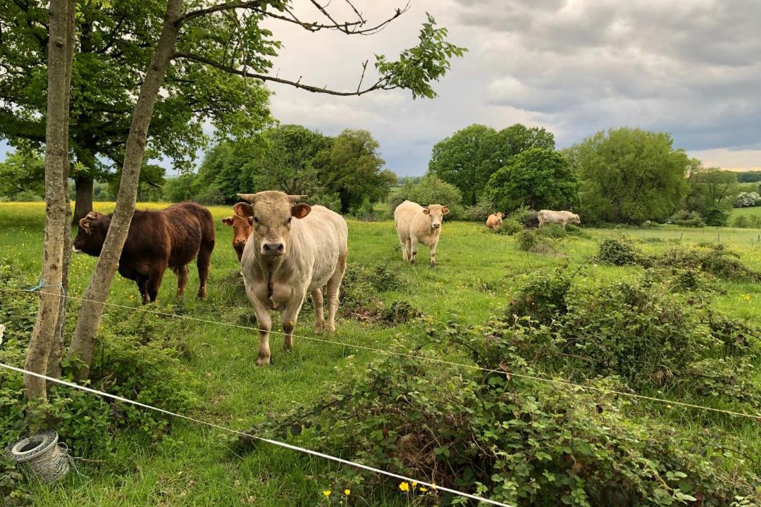 Photo of Others in Touligny