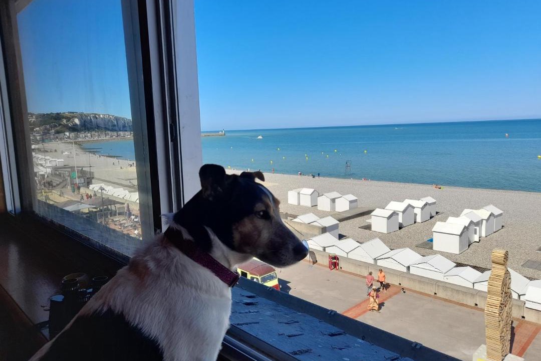 Photo of Others in Mers-les-Bains