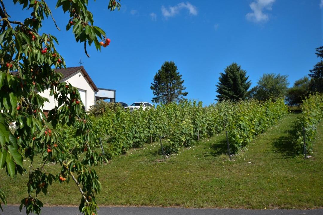 Photo of Others in Vaudemange