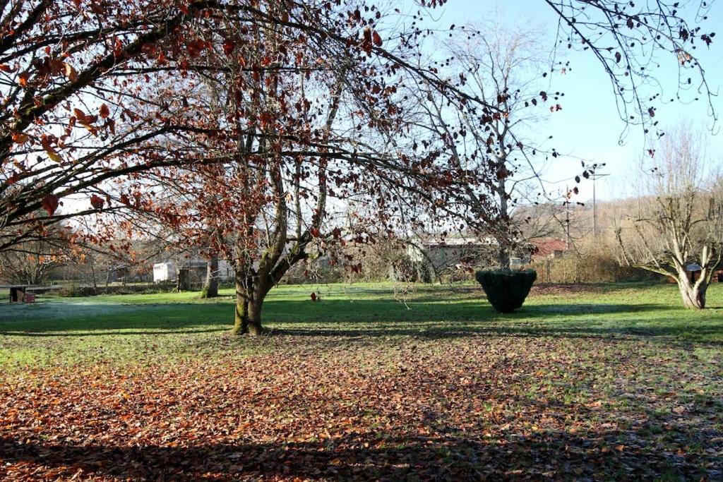 Photo of Others in Bougnon