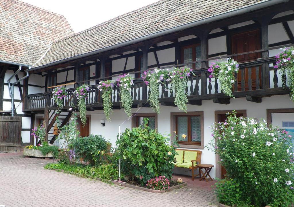 Photo of Others in Blaesheim