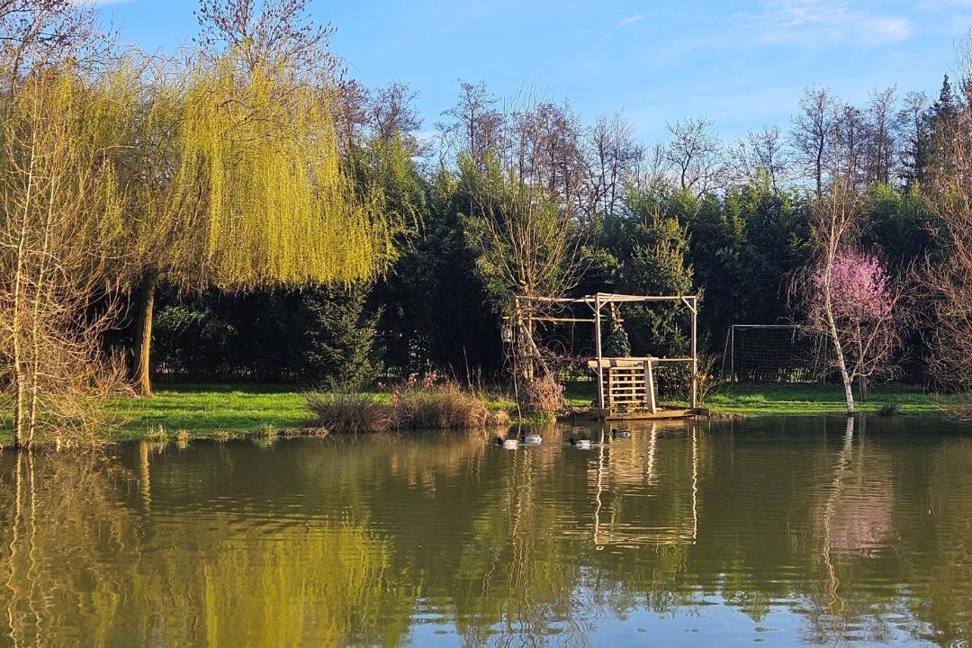 Photo of Outdoor in Chevannes