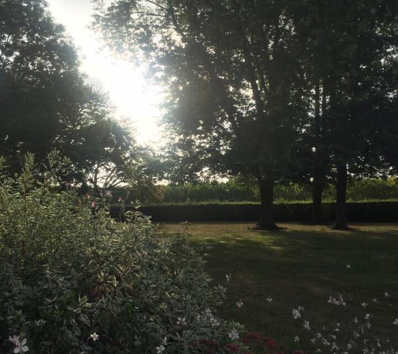Photo of Others in Le Bosc du Theil