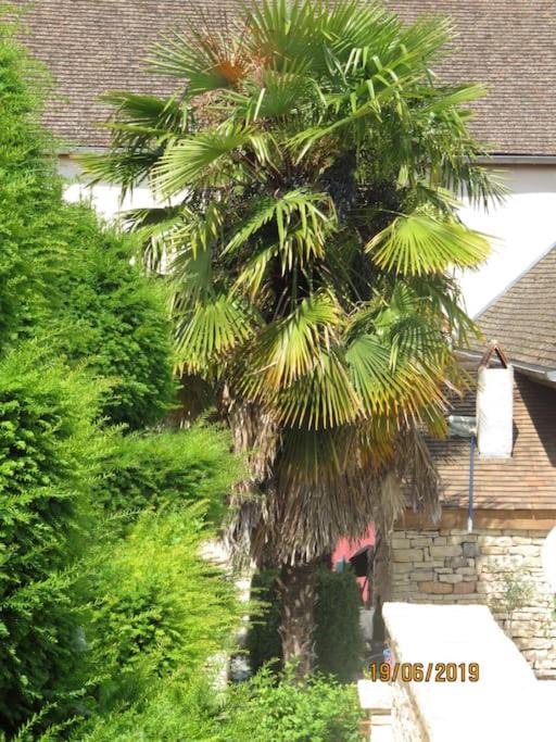 Photo of Others in Meursault