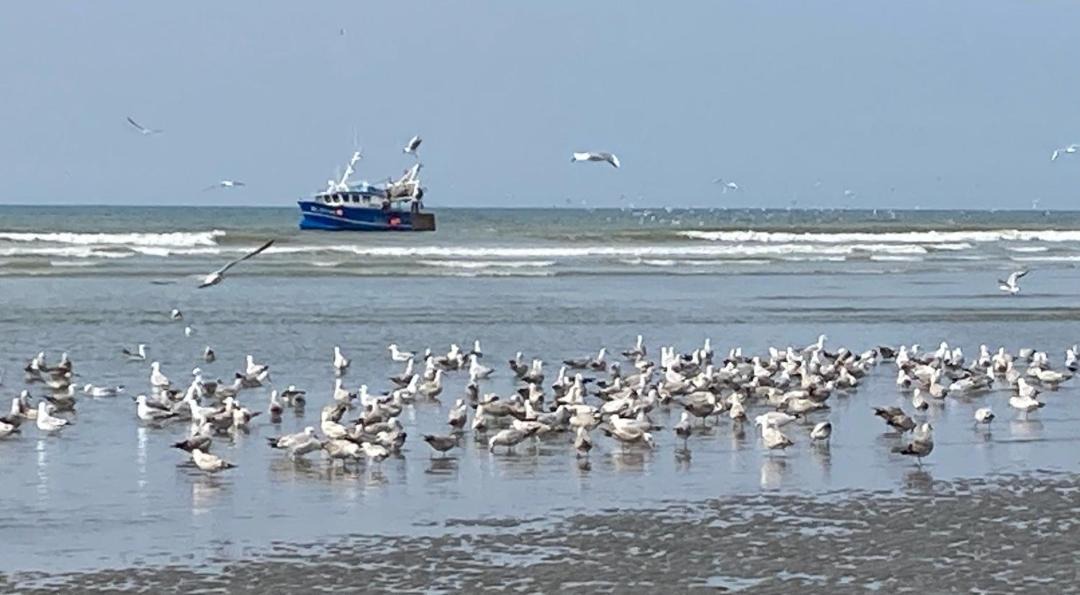 Photo of Others in Quend-Plage-les-Pins