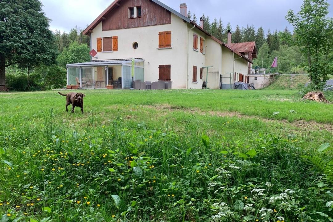 Photo of Others in Lusse