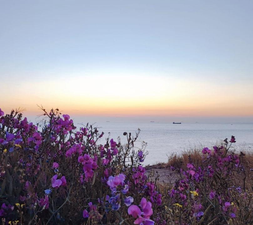 Photo of Outdoor in Equihen-Plage