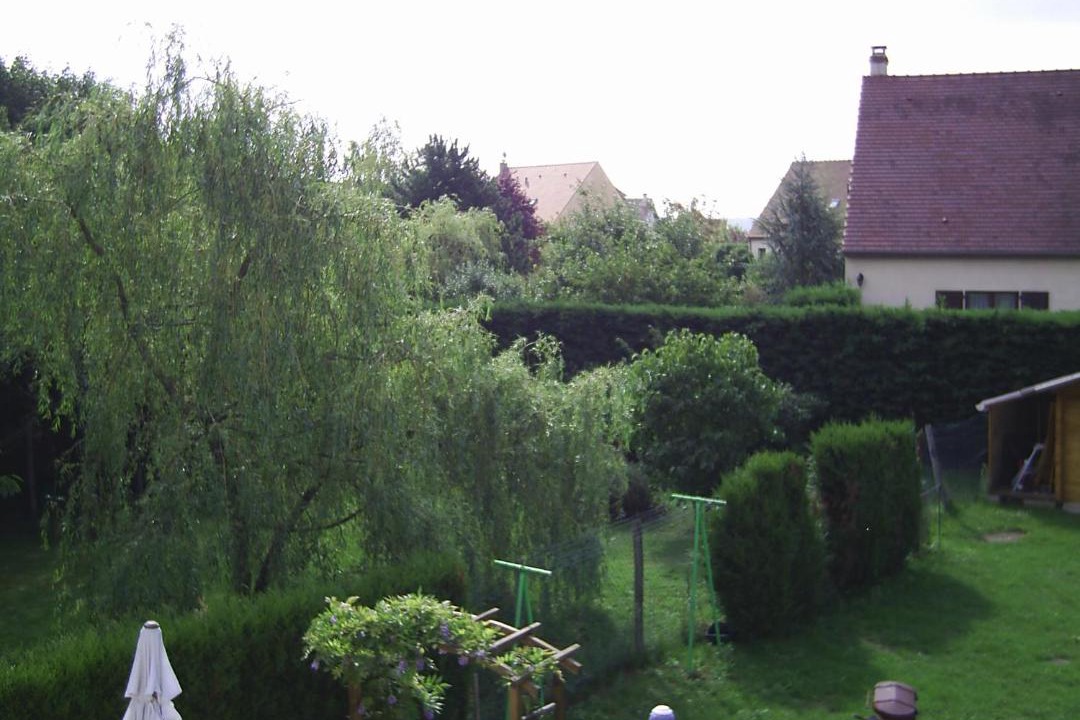 Photo of Others in Bouray-sur-Juine