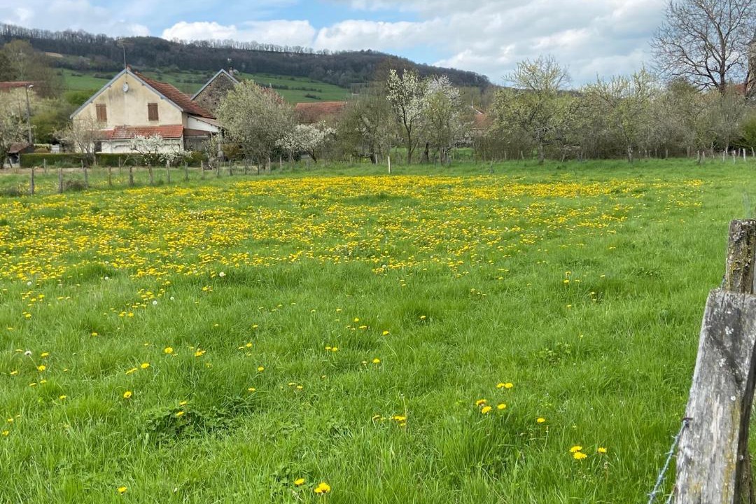 Photo of Others in Jailly-les-Moulins