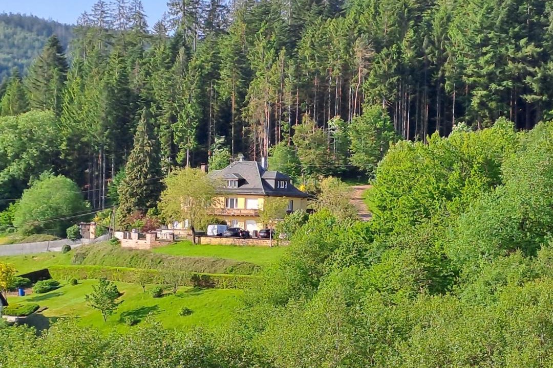 Photo of Others in Saulxures