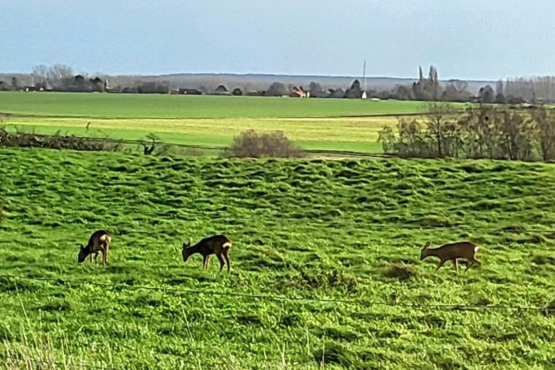 Photo of Others in Saint-Hilaire-Cottes