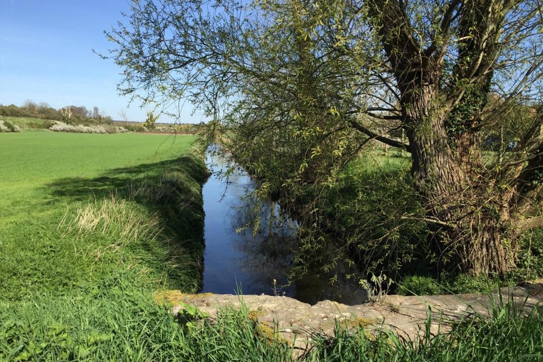 Photo of Others in Thiveral-Grignon
