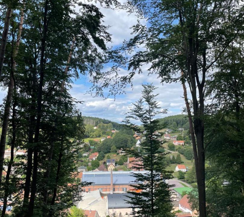 Photo of Others in Meisenthal
