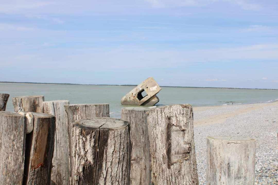 Photo of Others in Friville-Escarbotin