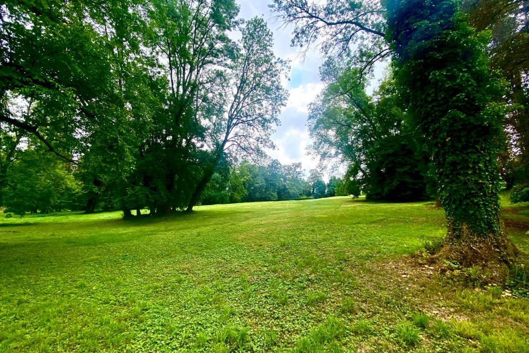 Photo of Others in Coulommes-la-Montagne