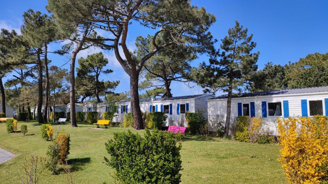 Photo of Others in Cayeux-sur-Mer
