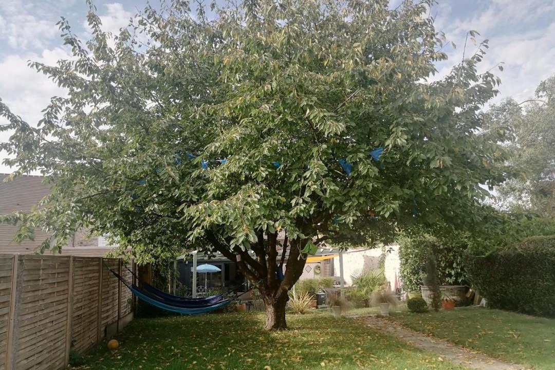 Photo of Outdoor in Sivry-Courtry