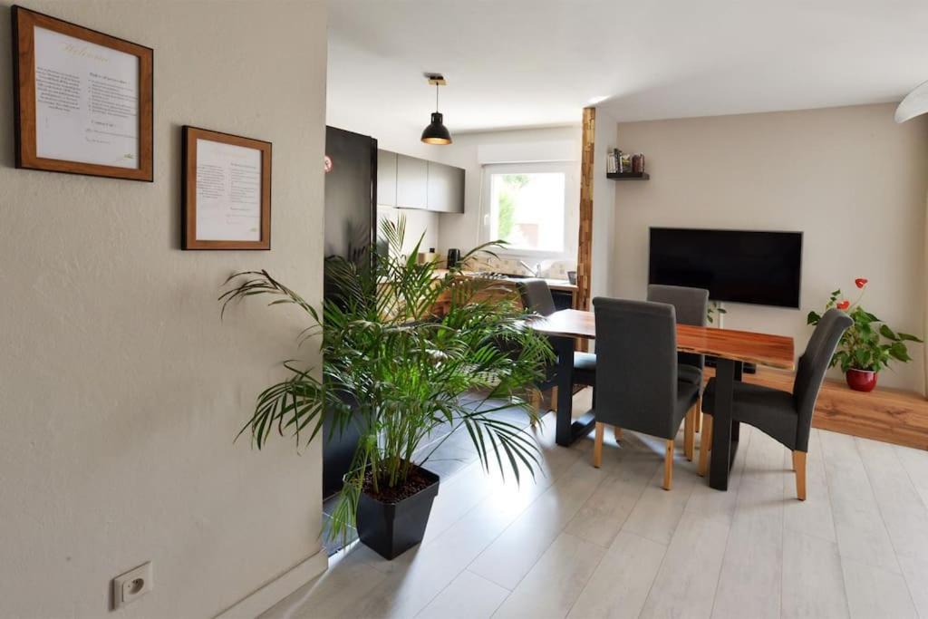 Photo of Livingroom in Bailly-Romainvilliers