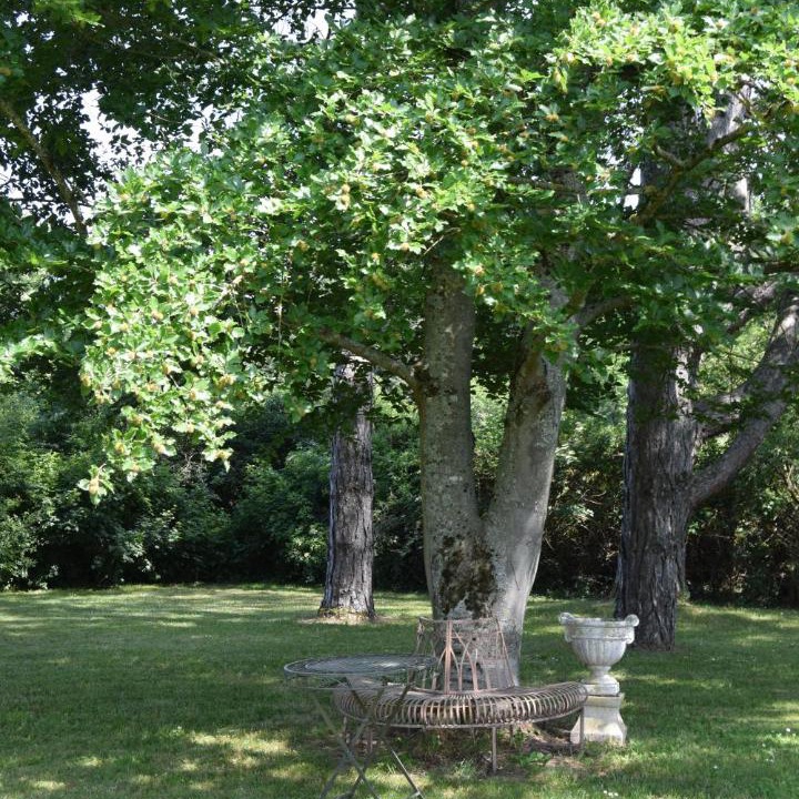 Photo of Others in Bresse-sur-Grosne