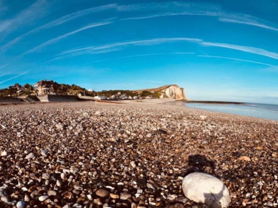 Photo of Human In Picture in Veulettes-sur-Mer