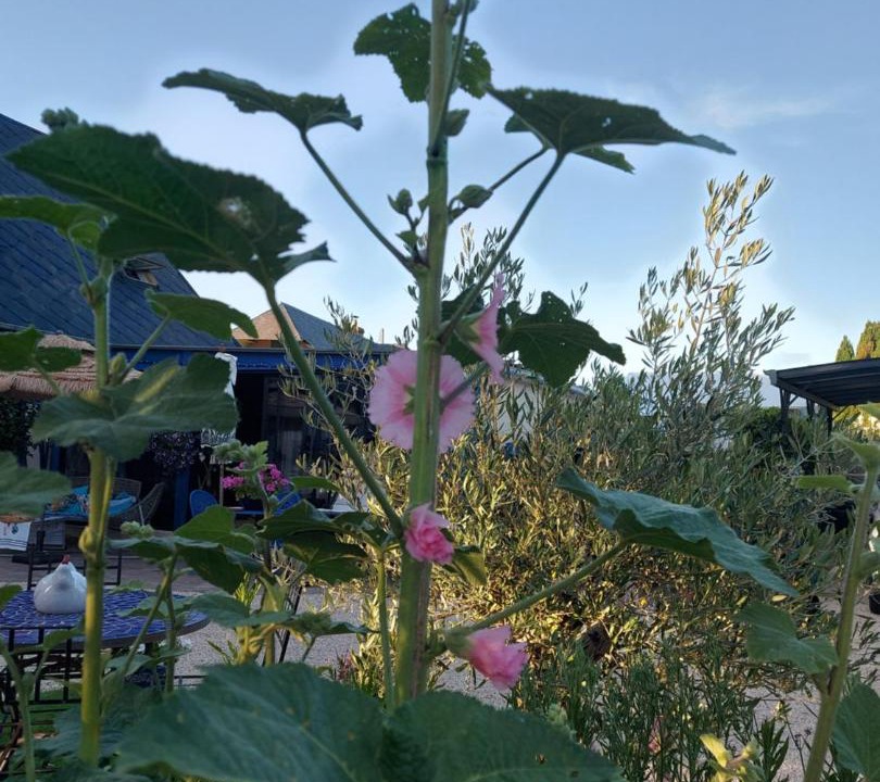 Photo of Outdoor in Bosville