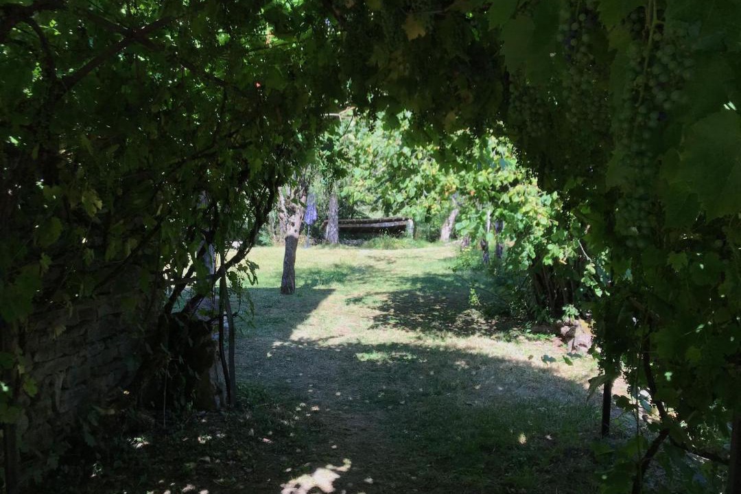 Photo of Outdoor in Jailly-les-Moulins