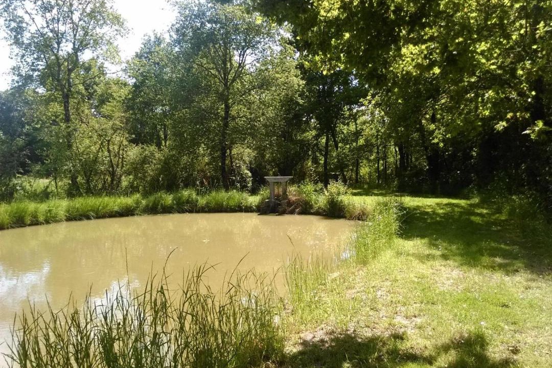 Photo of Outdoor in Rosnay