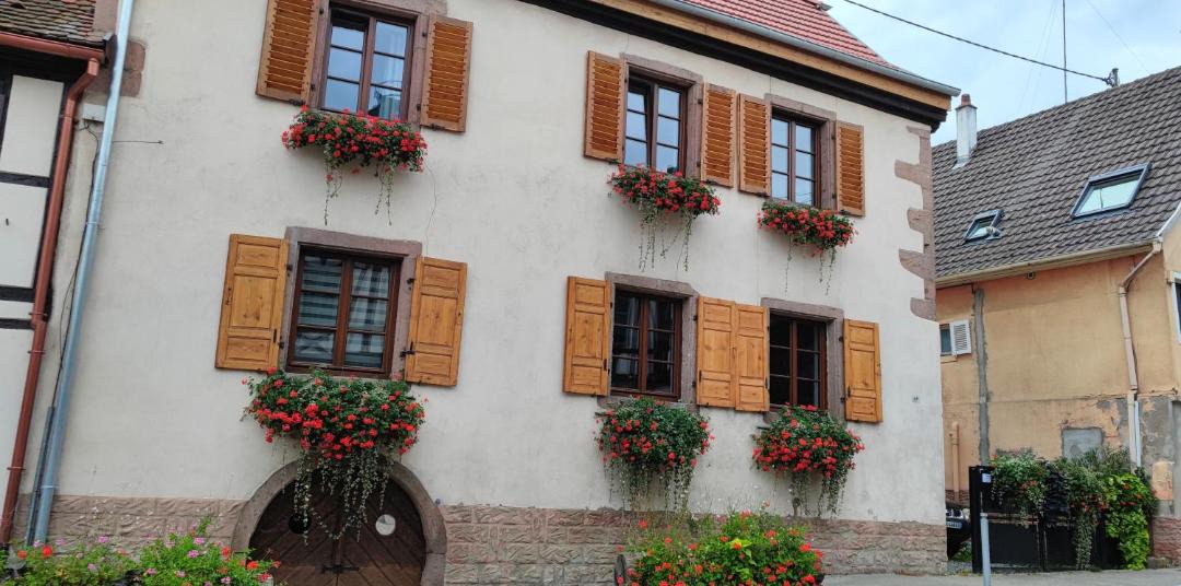 Photo of Buildings in Kintzheim