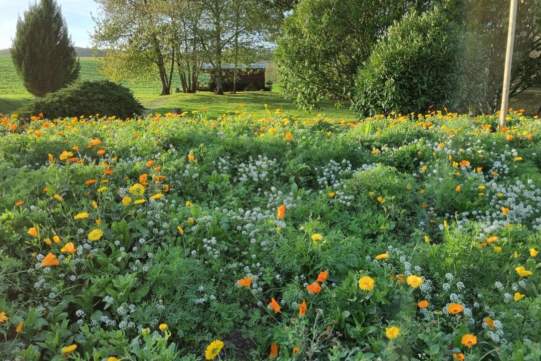 Photo of Outdoor in Chatillon-sur-Marne